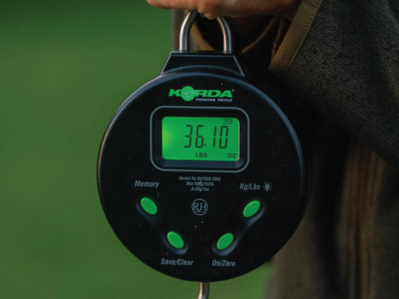 Korda Digital Scales 